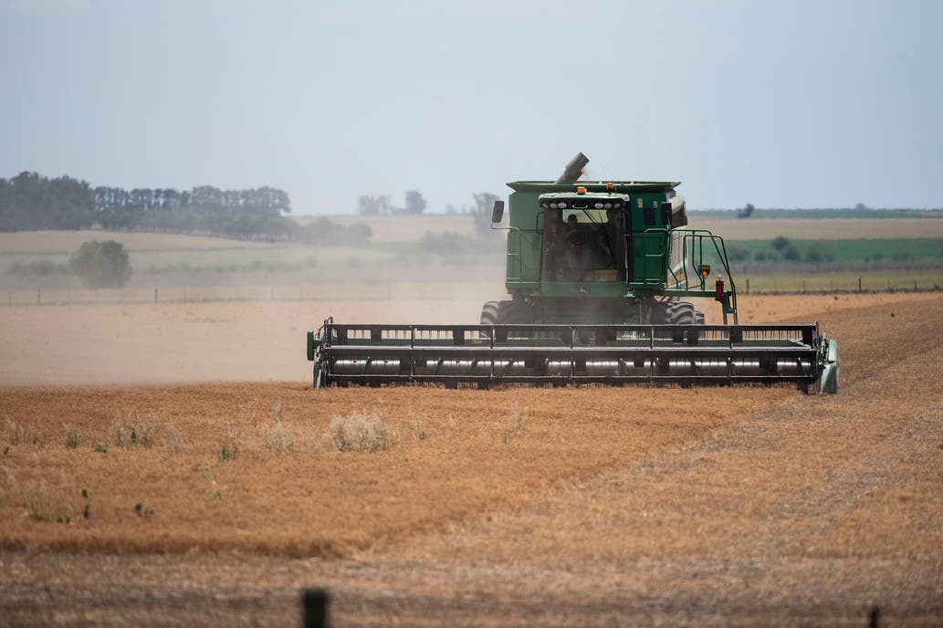 Si el clima ayuda: el campo aportará casi US$7000 millones más que en 2020