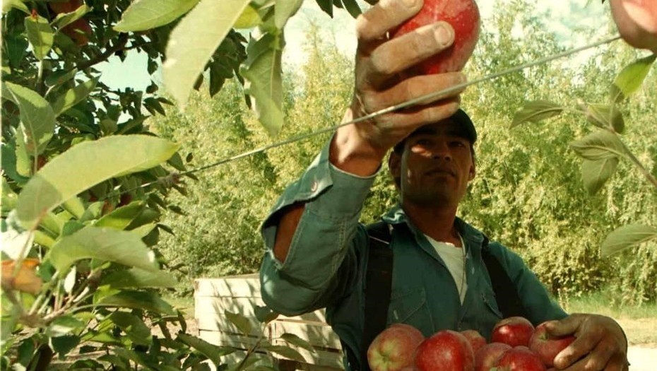 Estiman que hay 5,5 millones de empleos que dependen del agro en Argentina