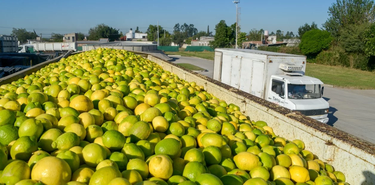 Se le abren las puertas al limón argentino en India