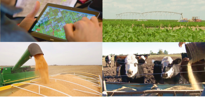 In Entre Ríos the National Agricultural and Livestock census continues