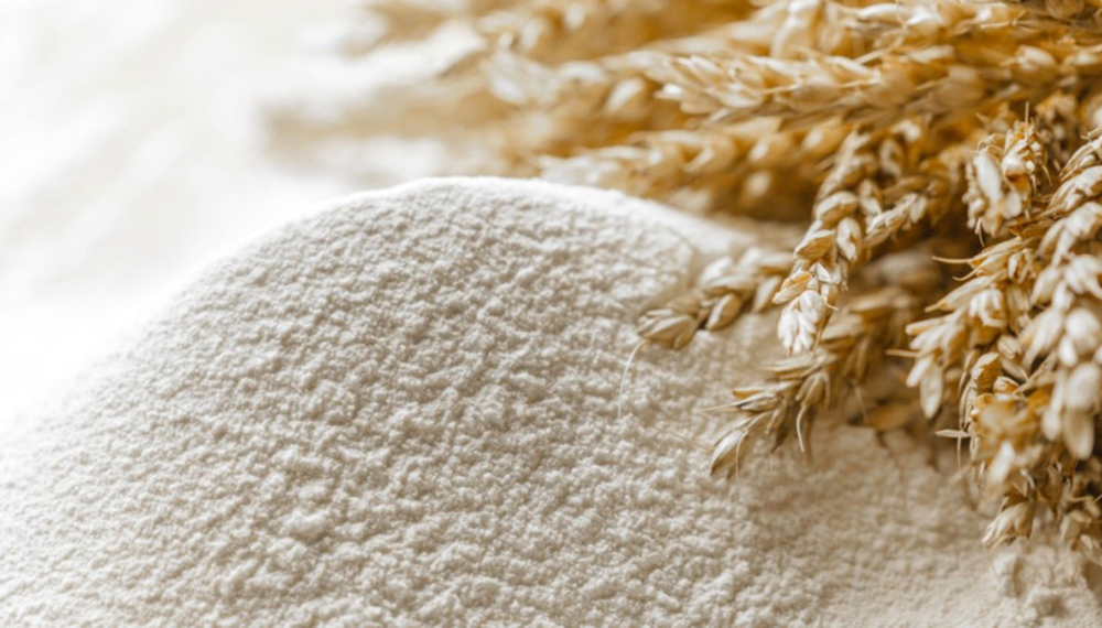 Con 4,7 millones de toneladas procesadas, la molienda de trigo es la más alta de las últimas ocho campañas