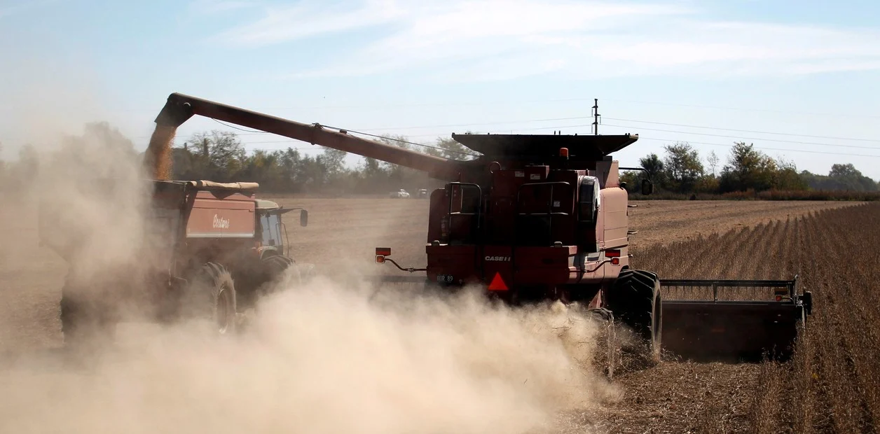 Cosecha de soja: sostienen la proyección de 49,5 millones de toneladas